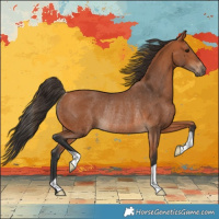 Horse Color:Bay Rabicano 