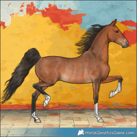 Horse Color:Bay Rabicano 