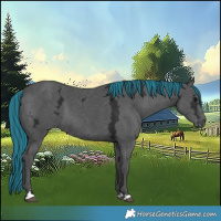 Horse Color:Painted Black Ice 