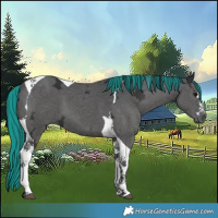 Horse Color:Painted Black Ice Tobiano 