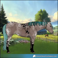 Horse Color:Void Painted Silver Black Ice Tobiano