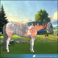 Horse Color:Painted Black Ice Tobiano 