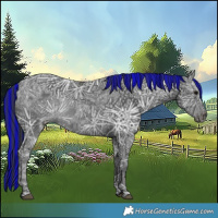 Horse Color:Void Painted Black Ice