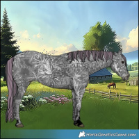 Horse Color:Void Painted Black Ice 