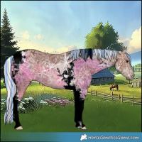 Horse Color:Painted Silver Black Ice Tobiano