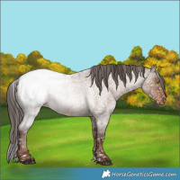 Horse Color:Liver Red Dun Roan Snowcap Rabicano 