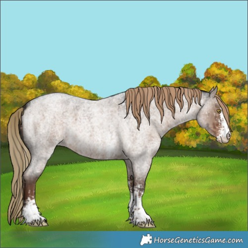 Horse Color:Liver Red Dun Roan Sabino Snowflake VarnishBrindle 