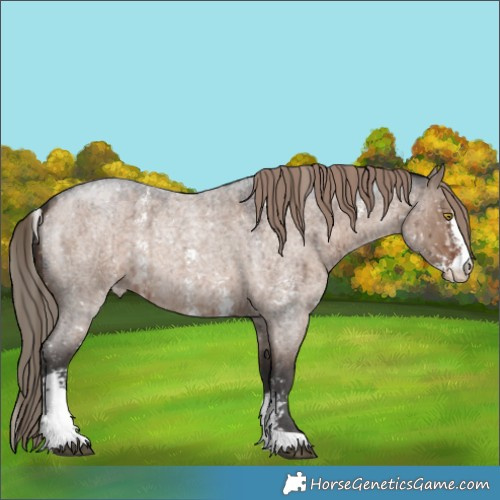 Horse Color:Liver Red Dun Roan Sabino Snowflake Varnish Brindle 