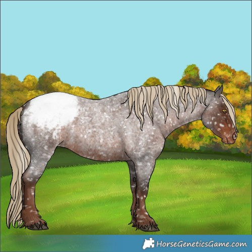 Horse Color:Liver Red Roan Snowcap Rabicano 