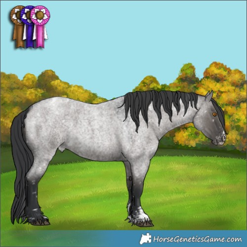 Horse Color:Grullo Roan Sabino Appaloosa Rabicano 