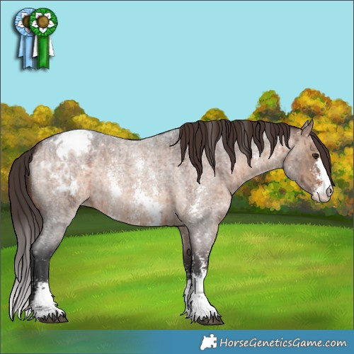 Horse Color:Brown Roan Dun Sabino Appaloosa Brindle 