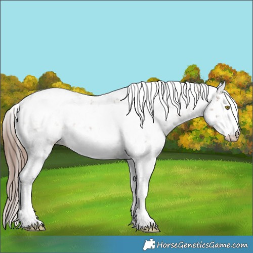 Horse Color:Liver Red Dun Sabino Snowflake Varnish Rabicano Brindle 