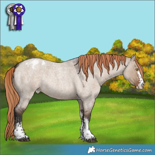 Horse Color:Liver Red Dun Roan Sabino Appaloosa Rabicano 