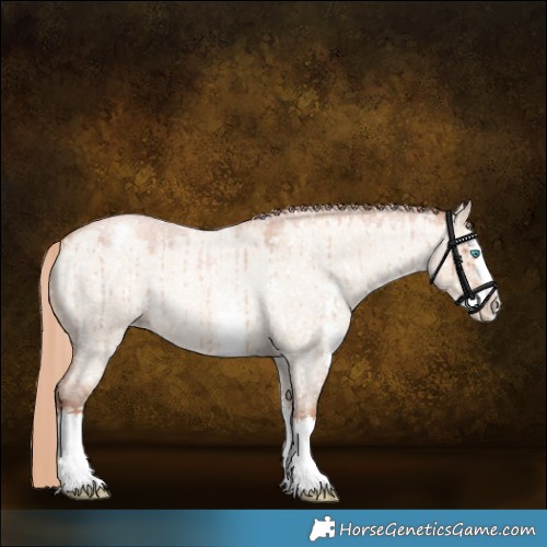 Horse Color:Gold Champagne Roan Dun Sabino Splash Snowflake VarnishRabicano Brindle