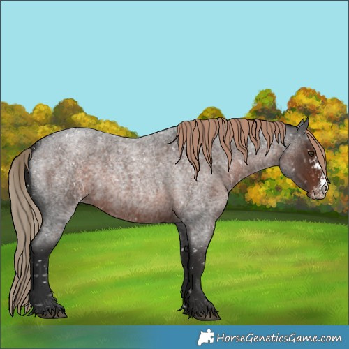 Horse Color:Liver Red Roan Sabino Snowflake Varnish