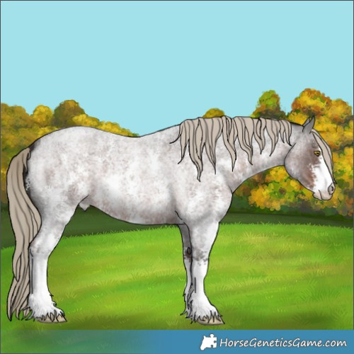 Horse Color:Liver Red Roan Sabino 