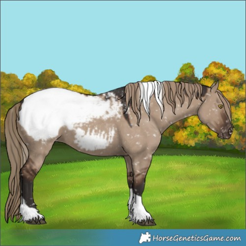 Horse Color:Liver Red Dun Sabino Tobiano Appaloosa Rabicano 