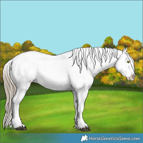 Horse Color:Liver Red Dun Sabino Tobiano Appaloosa Rabicano 