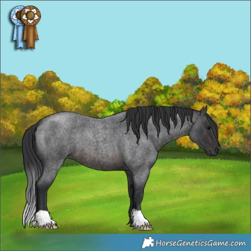 Horse Color:Brown Roan 