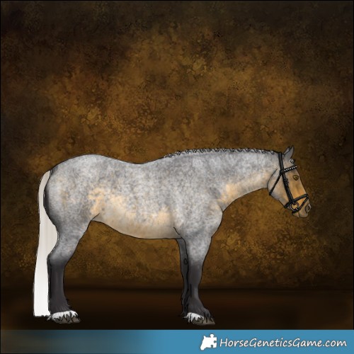 Horse Color:Silver Buckskin Roan 