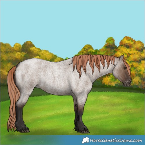Horse Color:Liver Red Dun Roan Varnish 