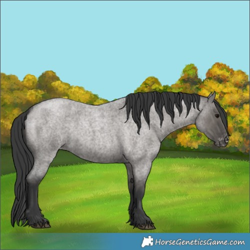 Horse Color:Grullo Roan Varnish Rabicano 