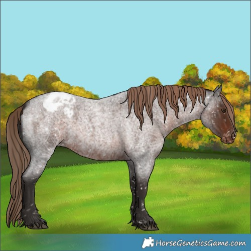 Horse Color:Liver Red Roan Snowflake Varnish 