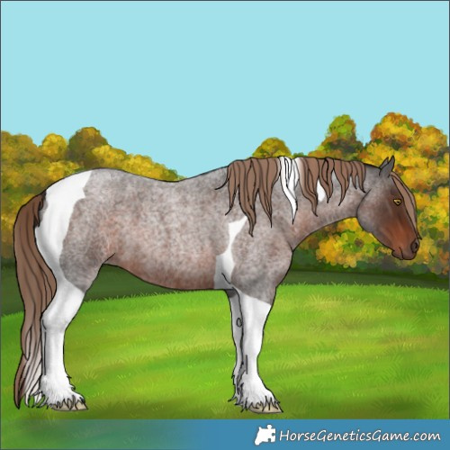 Horse Color:Liver Red Roan Tobiano