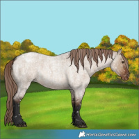 Horse Color:Liver Red Dun Roan Snowflake Varnish Rabicano 