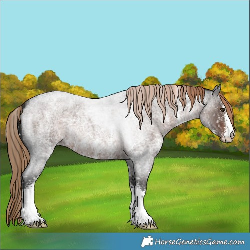 Horse Color:Liver Red Roan Sabino Snowflake Varnish