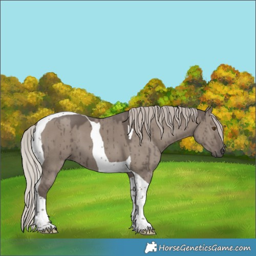 Horse Color:Silver Grullo Tobiano Brindle 