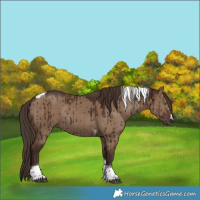 Horse Color:Liver Red Dun Tobiano Rabicano Brindle