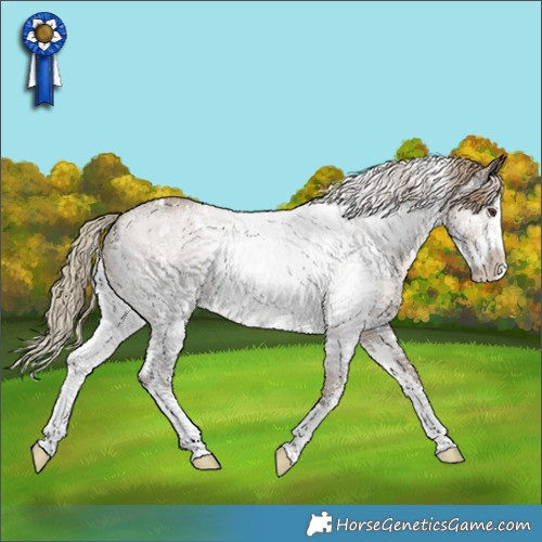 Horse Color:White Spotted Liver Red Dun Sabino 
