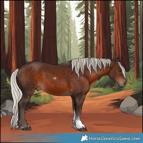 Horse Color:Silver Brown Tobiano 