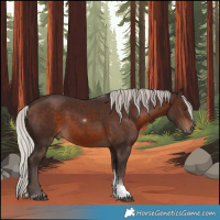 Horse Color:Silver Brown Tobiano