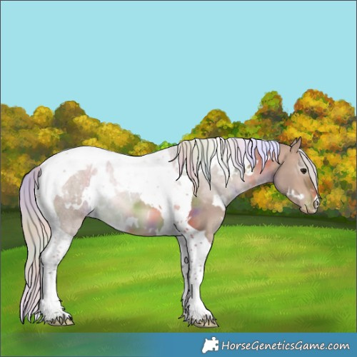 Horse Color:Nacre White Spotted Silver Bay Dun Tobiano Blanket 