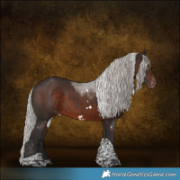 Horse Color:White Spotted Silver Brown Tobiano Varnish