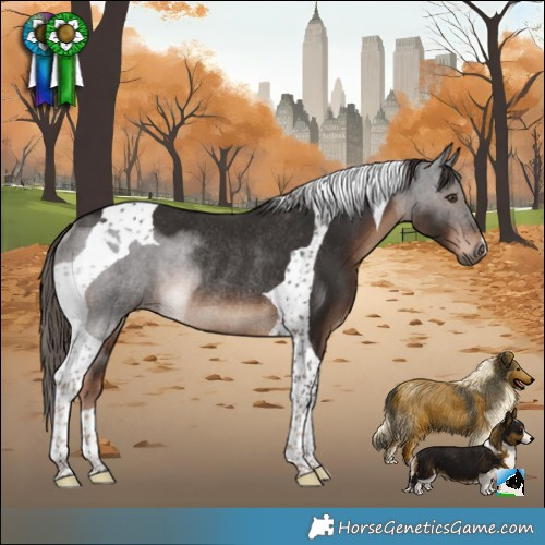 Horse Color:Liver Chestnut Tobiano Rabicano