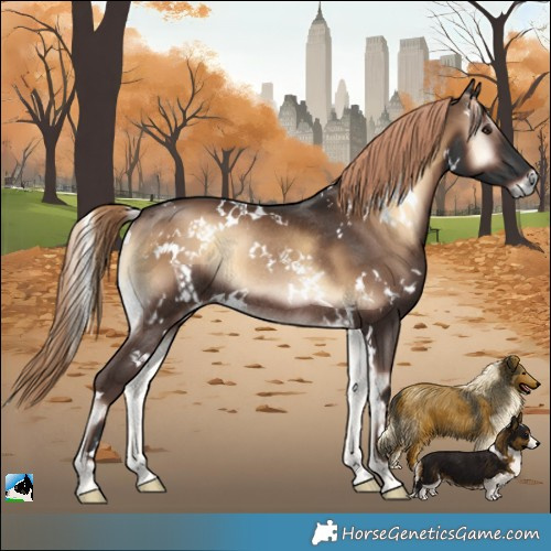 Horse Color:White Spotted Liver Red Onyx Rabicano 