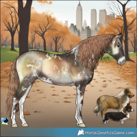 Horse Color:White Spotted Liver Red Onyx Rabicano