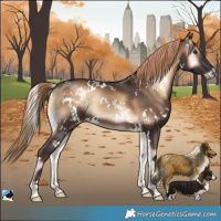 Horse Color:White Spotted Liver Red Onyx Rabicano 