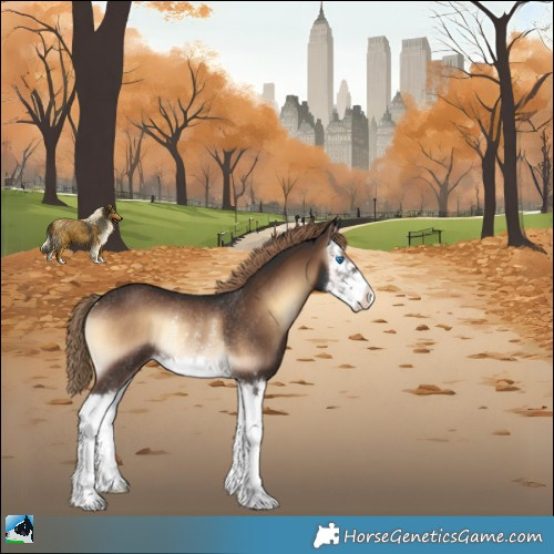 Horse Color:Liver Red Onyx Splash Rabicano 