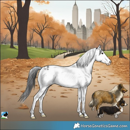 Horse Color:Brown Sabino Rabicano 