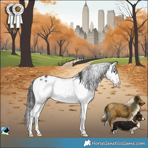 Horse Color:Brown Sabino Rabicano