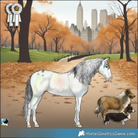 Horse Color:Brown Sabino Rabicano