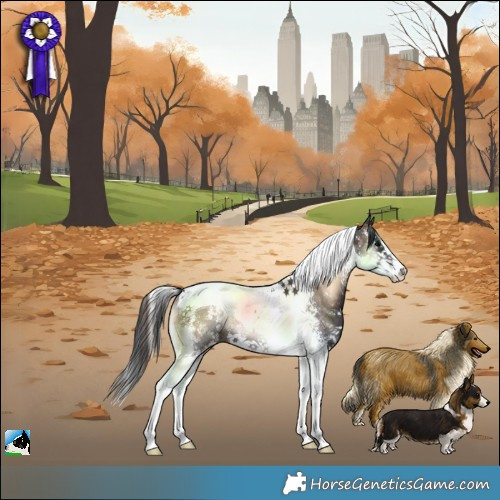 Horse Color:Brown Onyx Sabino Splash Tobiano Rabicano 