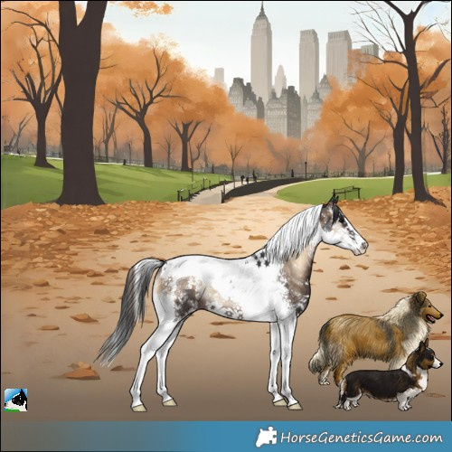 Horse Color:Brown Onyx Sabino Splash Tobiano Rabicano 