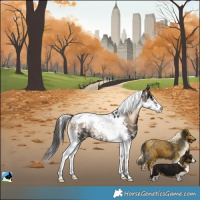 Horse Color:Brown Onyx Sabino Splash Tobiano Rabicano 