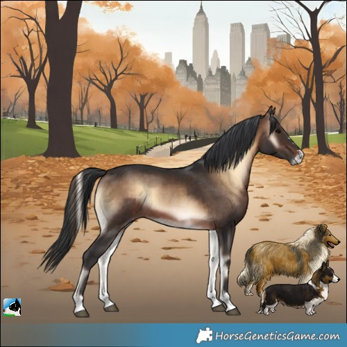Horse Color:Brown Onyx Rabicano