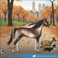 Horse Color:Brown Onyx Rabicano 